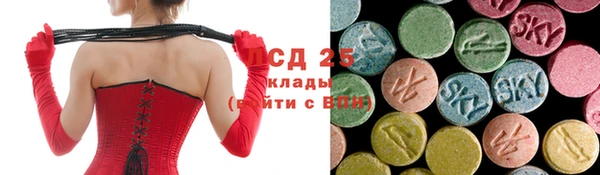 PSILOCYBIN Покров