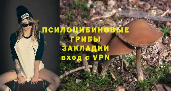 ПСИЛОЦИБИНОВЫЕ ГРИБЫ Протвино