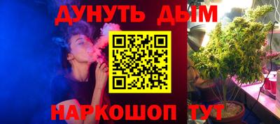 a pvp Гусь-Хрустальный