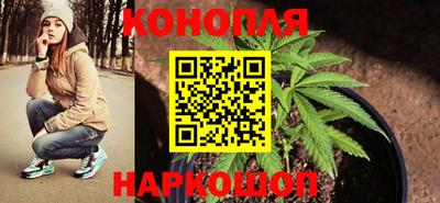 таблы Гусев
