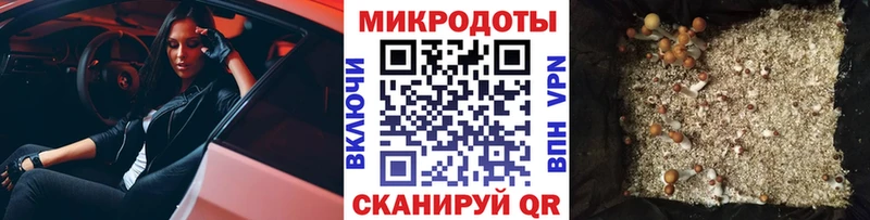 Галлюциногенные грибы мухоморы  Удомля 