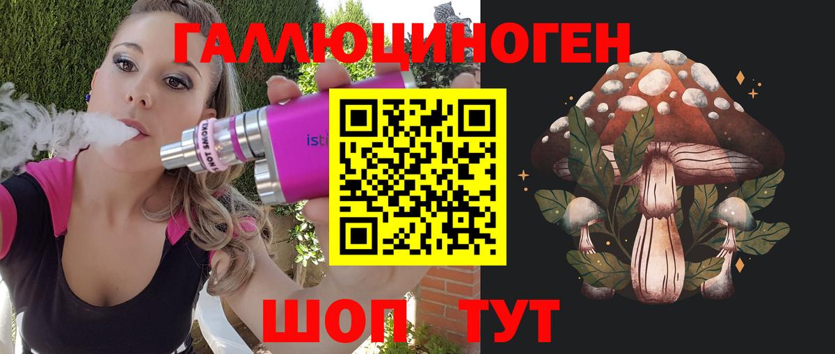 Галлюциногенные грибы Psilocybe  Удомля 