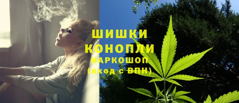 Каннабис OG Kush  Удомля 